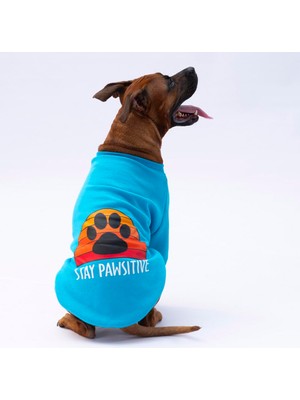 Aesco Pawstar Turkuaz Carmel Polarlı Orta-Büyük Irk Köpek Sweatshirtü (4xl)