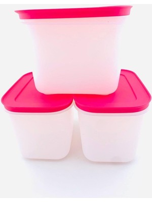 Aesco Tupperware Tupperware Alaska 3 Lü 1.1 Lt Derin Saklama Kabı