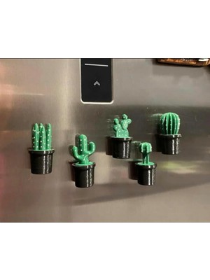 Aesco Buzdolabı Kaktüs Magneti 5'li Set - Siyah