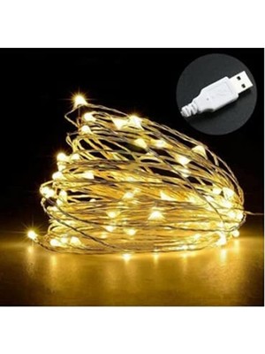Aesco Hidz Peri LED 10 Metre USB Girişli