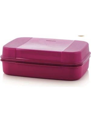 Aesco Tupperware F 20 Saklama Kabı