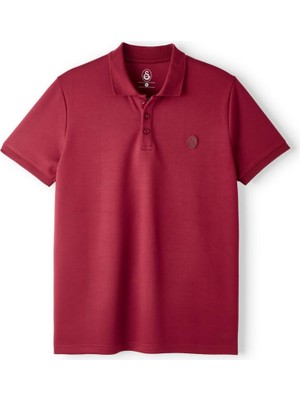 Aesco Galatasaray Premium Basic Polo T-Shirt E251133