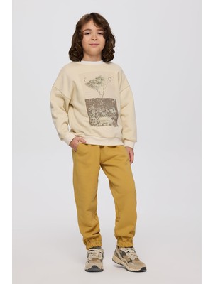 Aesco Erkek Çocuk Baskılı Bej Sweatshirt 8 Yaş (128 Cm)