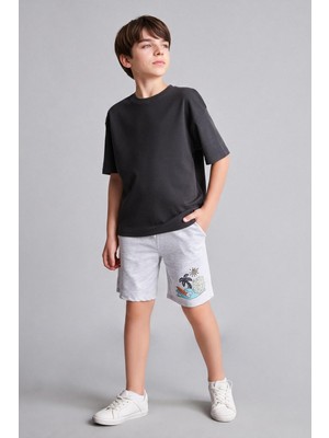 Aesco Defacto Regular Fit Palmiye Baskılı Sweatshirt Kumaşı Şort Erkek Çocuk H7215A826HS