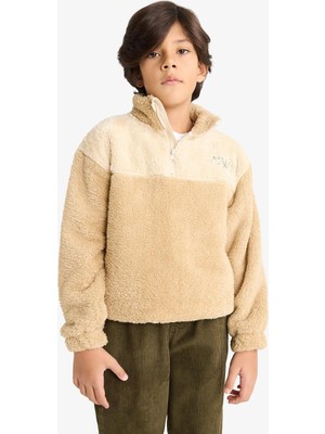 Aesco Defacto Fermuarlı Yaka Nakışlı Pelüş Sweatshirt Erkek Çocuk G2946A825WN
