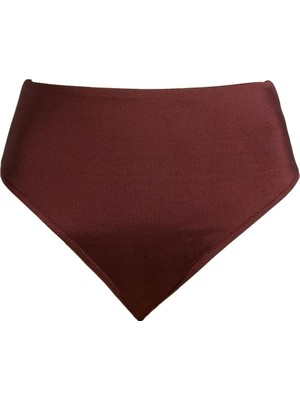 Aesco Endeep Kadın Hipster Yüksek Bel Bordo Bikini Altı