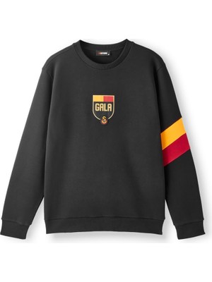 Aesco Galatasaray Erkek Sweatshirt E252106