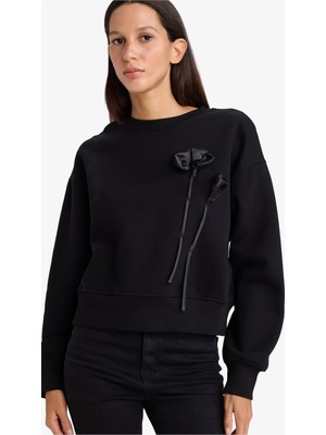 Aesco Defacto Boxy Fit Bisiklet Yaka Aplike Kalın Sweatshirt G7007AX25WN