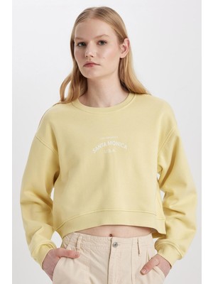 Aesco Defacto Boxy Fit Bisiklet Yaka Baskılı Kalın Sweatshirt C5385AX23CW