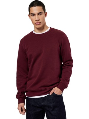 Aesco Pamuklu Uzun Kollu Şardonlu Bisiklet Yaka Erkek Basic Sweatshirt