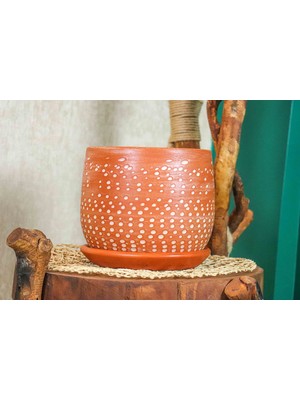 Die Grup Bitkitasarımı Ev Dekorasyon Beyaz Nokta Desenli Doğal Tabaklı Terracota Toprak Saksı Saksılık Salon Çiçeklik 19 cm
