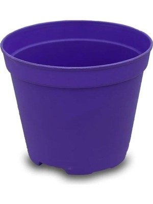 Die Grup Katı Plastik Sukulent Saksısı 20 Adet Koyu Mor (5.5 Cm), MKR012032437