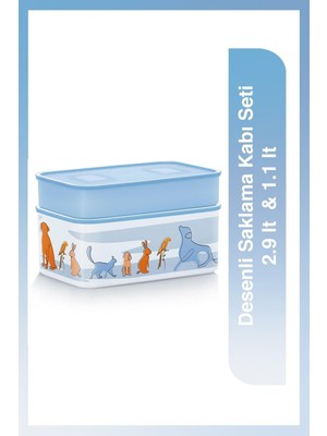Die Grup Tupperware Desenli Saklama Kabı Seti 2.9 Lt 1.1 Lt