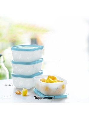 Die Grup Tupperware Alaska 450 ml 4 Lü Set