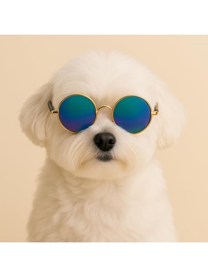 Die Grup Retro Yuvarlak Evcil Hayvan Güneş Gözlüğü, Altın Metal Çerçeve, Renkli Lens, Kedi ve Köpekler Için Moda Aksesuarı (Ebruli)