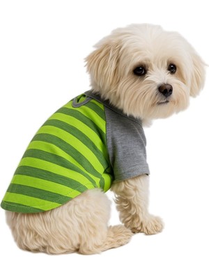 Die Grup Mpz Pets Kedi ve Köpek Kıyafeti & Elbisesi Yeşil Gri T Shirt M