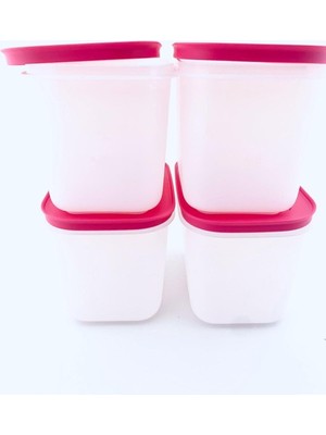 Die Grup Tupperware Tupperware Alaska 4lü 1.1 Lt Derin Saklama Kabı