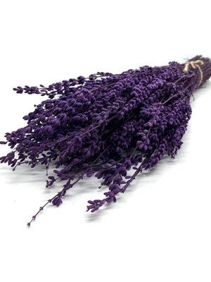 Die Grup Nura Botanik Şoklanmış Lavanta Demeti, Natural Lavender Bundle, Mor, 40-50 cm