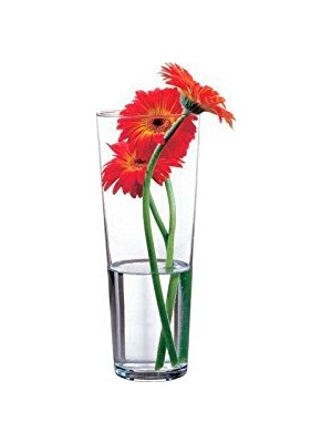 Die Grup Pasabahce 43177 – Cam Vazo Flora, Zarif, Yüksek, Zamansız, Yükseklik 26 cm