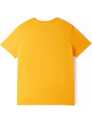 Die Grup Galatasaray 5 Yıldız Çocuk T-Shirt C251402