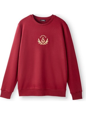Die Grup Galatasaray Erkek Sweatshirt E252137