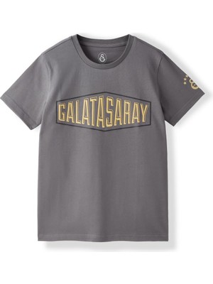 Die Grup Galatasaray Çocuk T-Shirt C252097