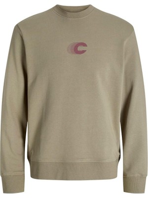 Die Grup Jcovıbrant Sweat Crew Neck Styd AW24 L