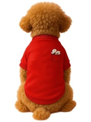 Esranın Dünyası Kedi ve Köpek Kıyafeti & Elbisesi Kırmızı Sweatshirt Papatya Cep Xl