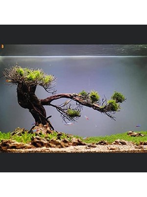Die Grup Kendinden Yapışkanlı Akvaryum Arka Fon - Kumlama 1 mt x 60 cm