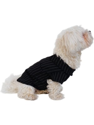 Hakay Mpz Pets Kedi ve Köpek Kıyafeti & Elbisesi Siyah Beyaz Çizgili Yakalı T Shirt S