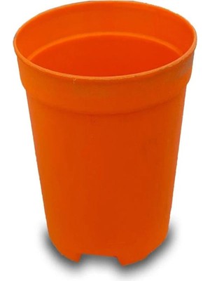 Die Grup Bitkim Sende Katı Plastik Sukulent Saksısı, 5 Adet, Turuncu, 5.5 cm