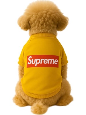 Hakay Mpz Pets Kedi ve Köpek Kıyafeti & Elbisesi Sarı Sweatshirt Supreme Xl