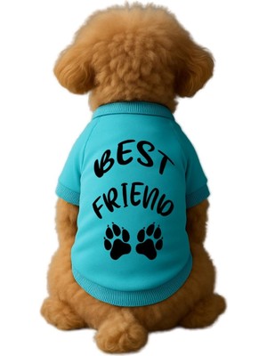 Hakay Mpz Pets Kedi ve Köpek Kıyafeti & Elbisesi Mavi Sweatshirt Best Friend S