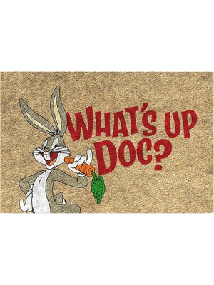 Hakay Monnhein Tasarımlı Dekoratif Kapı Önü Paspas, Dış Mekan/ev Içi/banyo/mutfak/yatak Odası/giriş Paspasları (Whats Up Doc, 45X70)