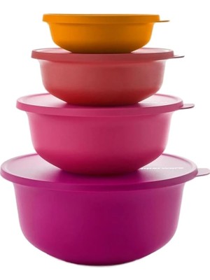 Hakay Tupperware Tupperware 4'lü Aloha Buzdolabı Saklama Kabı Seti 450 ml 1 Lt 2 Lt, 4 Lt