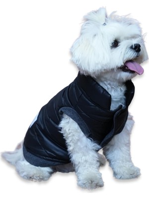 Hakay Oli And Lui Siyah Su Geçirmez Kapitone Köpek Montu – Gezdirme Halkalı (Siyah, Medium)