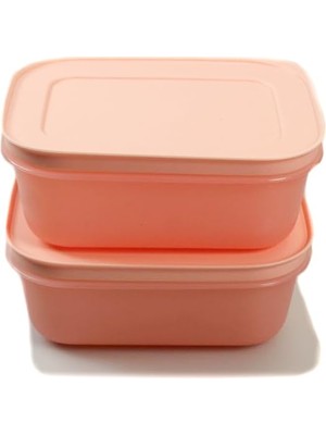 Hakay Tupperware Dondurucu Kabı 450 ml (2) Pembe Düz Buz Kristali Buz Kristali