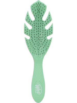 Aesco Wet Brush Go Green Detangler Saç Fırçası Yeşil