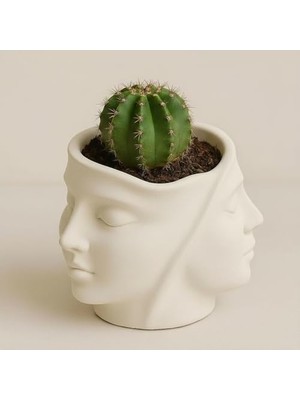 Hakay Dekoratif Yüz Saksı – Taş Tozu Sukulent Saksısı, Modern Minimalist Masa Dekoru, El Yapımı Sukulent Saksı, Kalemlik & Makyaj Fırçası Organizer, 11 cm