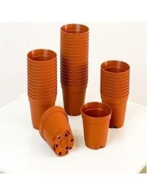 Hakay Katı Plastik Sukulent Saksısı 5 Adet Kahverengi (5.5 Cm)