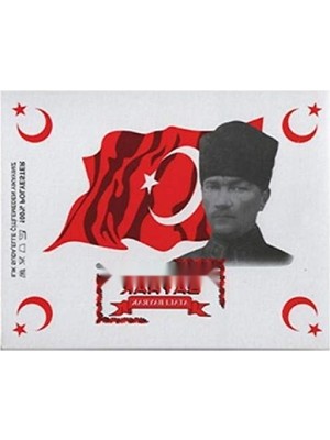 Aesco 70X105 cm Ebatında Profesyonel Türk Bayrağı