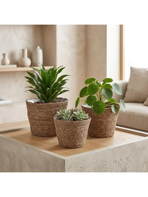 Frefly Store Deconox 3'lü Yuvarlak Hasır Saksı Seti, El Yapımı Doğal Dokulu Iç Astarlı Dekoratif Saksı, Büyük 25X18 cm Orta 22X15 cm Küçük 20X13 Cm, Geri Dönüşüme Uygun Hasır Set