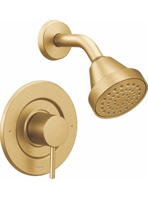Frefly Store Moen T2192BG Yalnız Duş, Fırçalanmış Altın