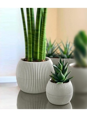 Frefly Store Mercan Yuvarlak Saksı Seti 0,35 Litre + 1,2 Litre, Iç Mekan - Dış Mekan 2li Ekonomik Tabaklı Plastik Saksı Set Latte Renk