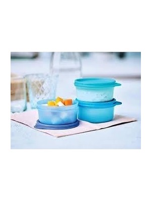 Frefly Store Tupperware Saklama Kabı 250ML 3lü