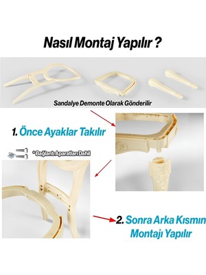 Frefly Store BADEM10 Begonya Sandalye Sert Plastik Gümüş Koltuk Bahçe Balkon Mutfak Yemek Masası Sandalyesi