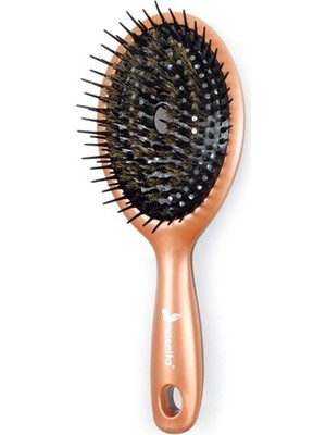 Frefly Store Nascita Bronz Saç Fırçası