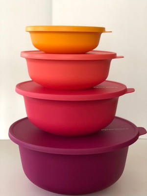 Frefly Store Tupperware Aloha 4 Lü Set