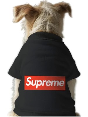 Frefly Store Mpz Pets Kedi ve Köpek Kıyafeti & Elbisesi Siyah Sweatshirt Supreme Xs