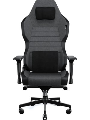 Frefly Store Exvega Business Pro Graphite Kumaş Çalışma Koltuğu